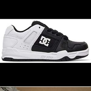 DC STAG Skate shoe